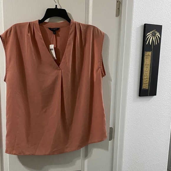 Banana Republic Tops - Banana Republic Terracotta V-Neck Blouse